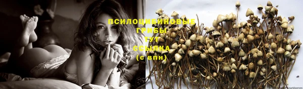 тгк Балахна