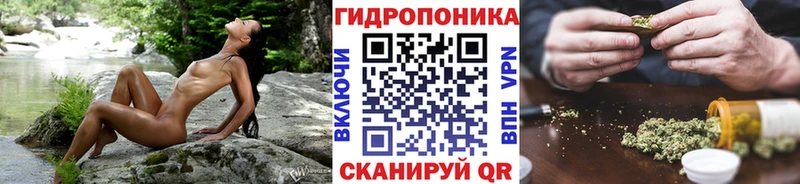 Бошки марихуана сатива  Боготол 